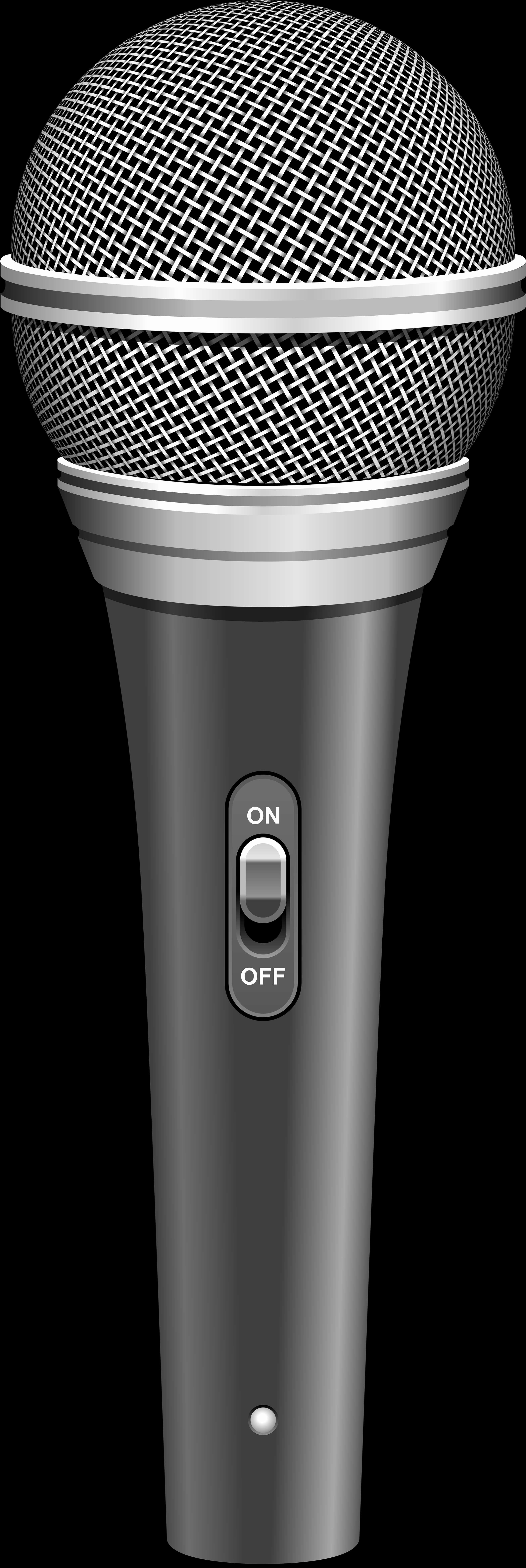 Professional Handheld Microphone