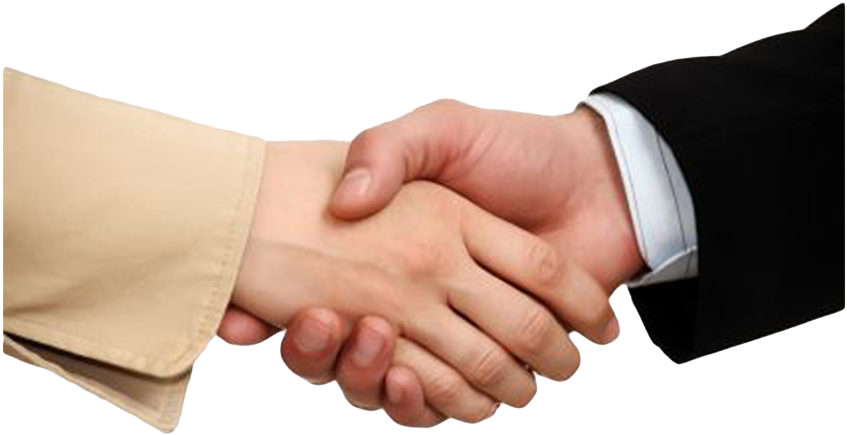 Professional Handshake Agreement