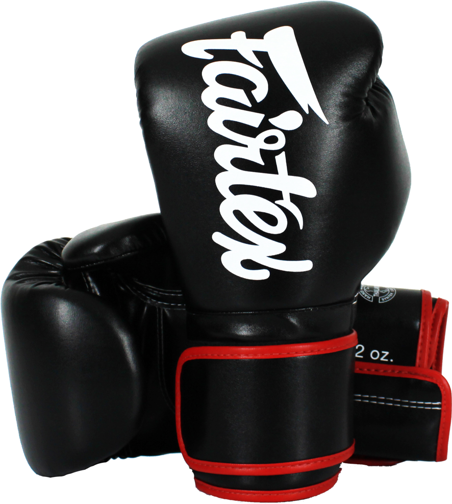 Professional Kickboxing Gloves