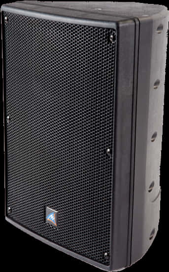 Professional P A Speaker System