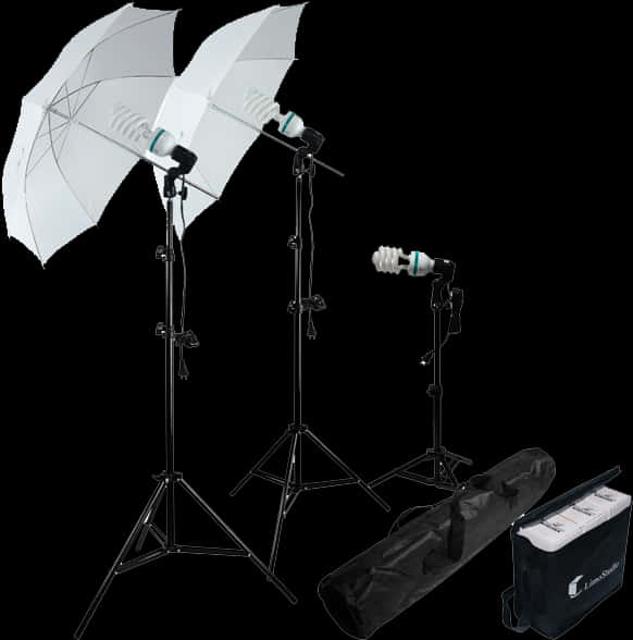 Professional Photography Lighting Equipment Setup