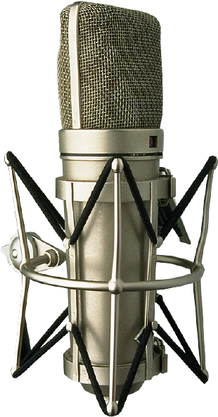 Professional Studio Microphone