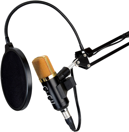 Professional Studio Microphone Setup