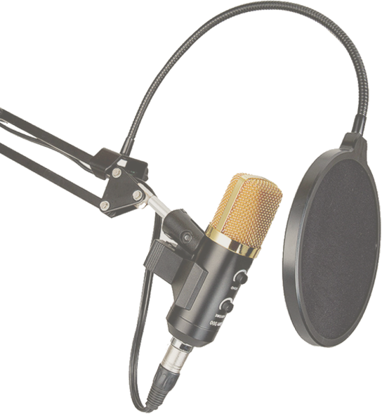 Professional Studio Microphone With Pop Filter