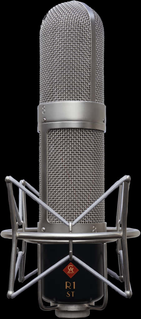 Professional Studio Microphone