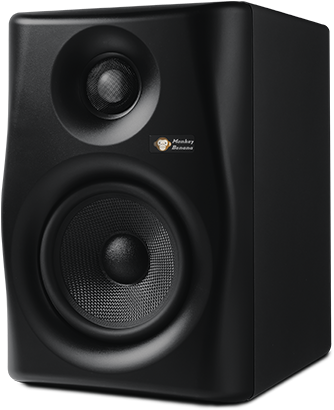 Professional Studio Monitor Speaker