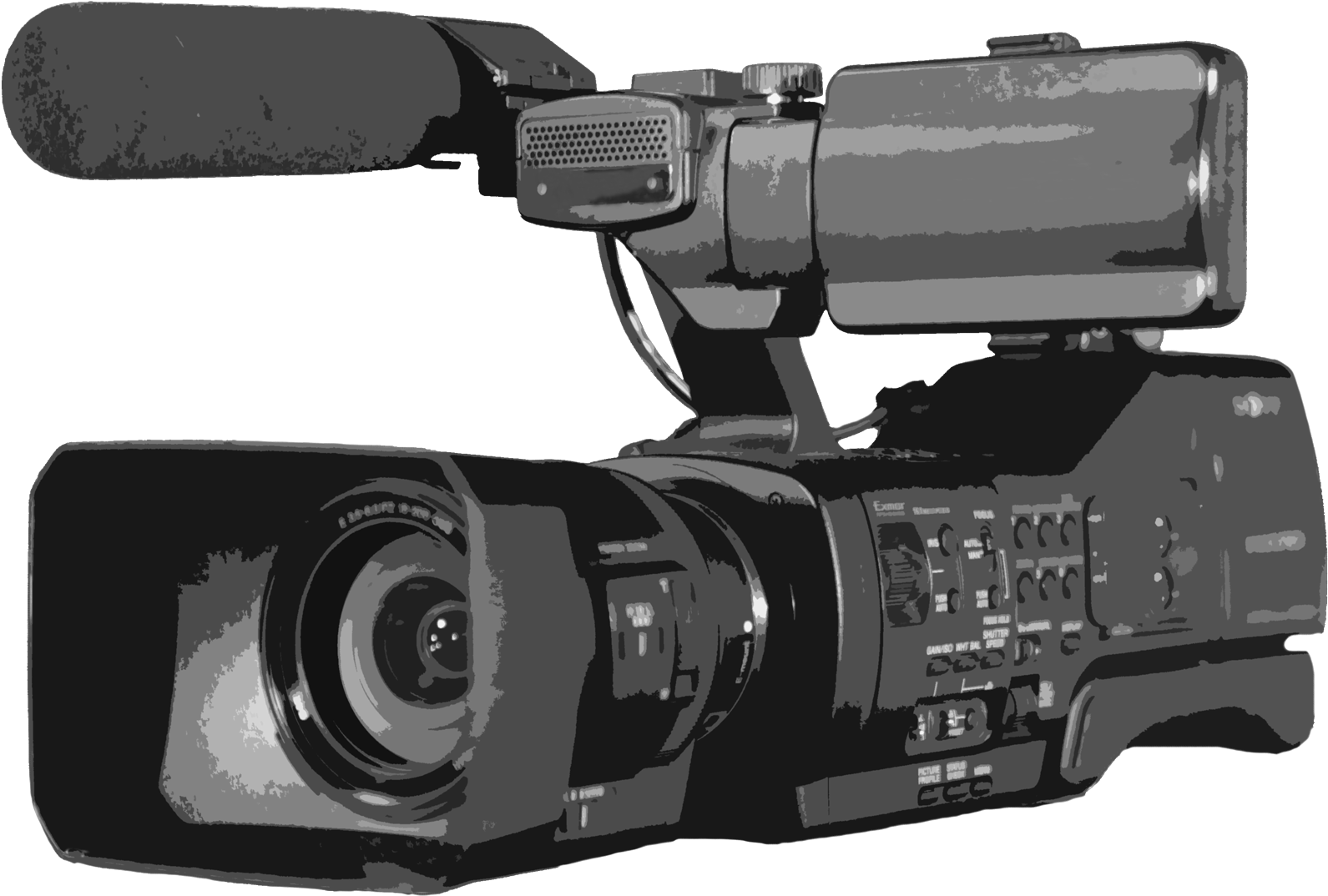 Professional Video Camera