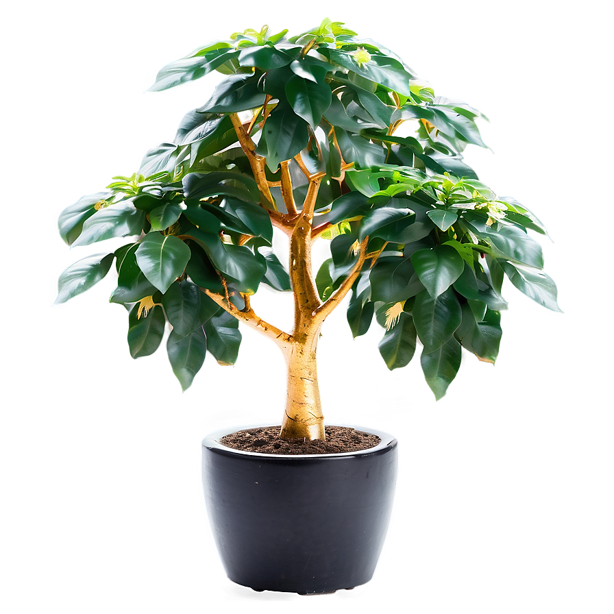 Prosperous Money Tree Image Png 13