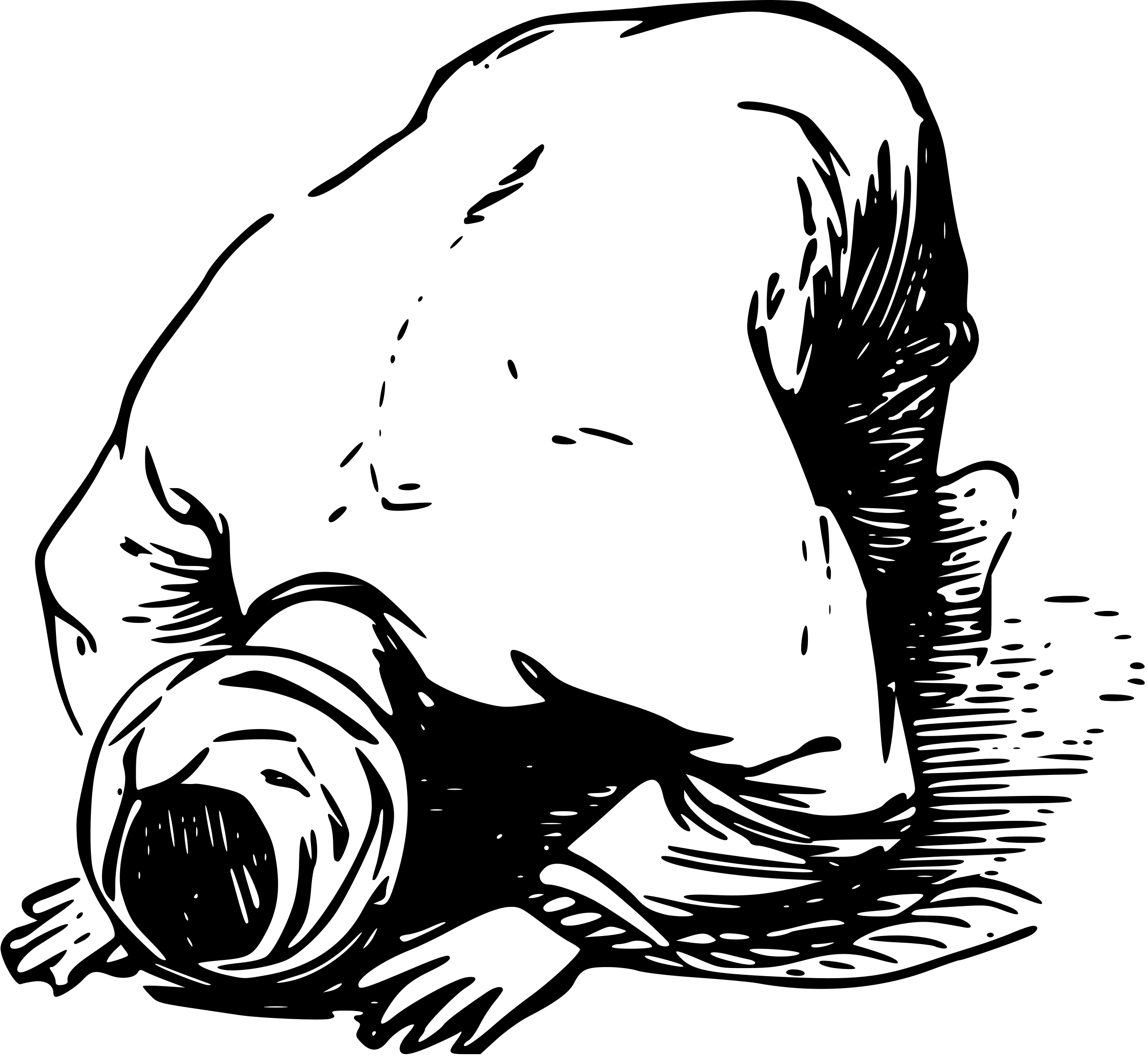 Prostration_in_ Prayer_ Illustration