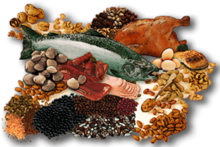Free Png Fish Meat Png Png Image With Transparent Background - Food Pyramid Meats, Png Download PNG with transparent background