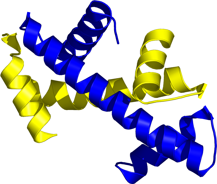 Protein Structure3 D Model PNG with transparent background