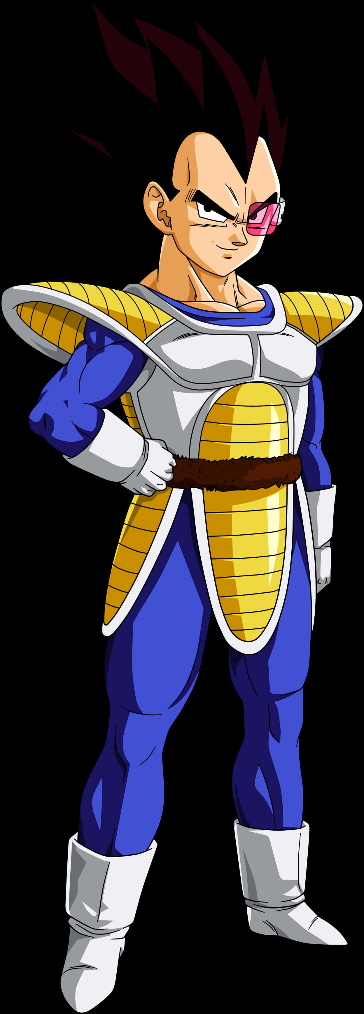 Proud Saiyan Warrior Vegeta PNG with transparent background
