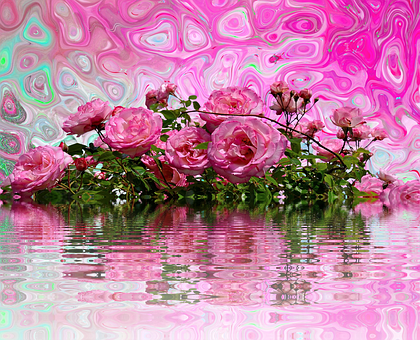 Psychedelic Pink Roses Reflection PNG with transparent background