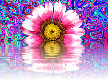 Psychedelic Summer Daisy Reflection PNG with transparent background