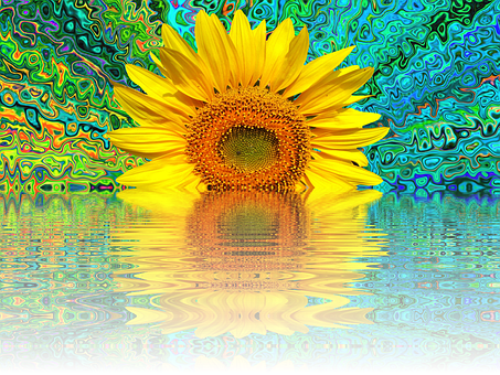 Psychedelic Sunflower Reflection PNG with transparent background