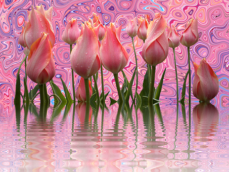Psychedelic Tulips Reflection PNG with transparent background