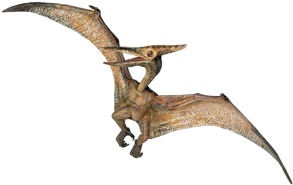 Pterosaur Illustration Jurassic Park PNG with transparent background