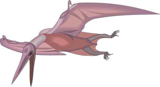 Pterosaur In Flight Illustration