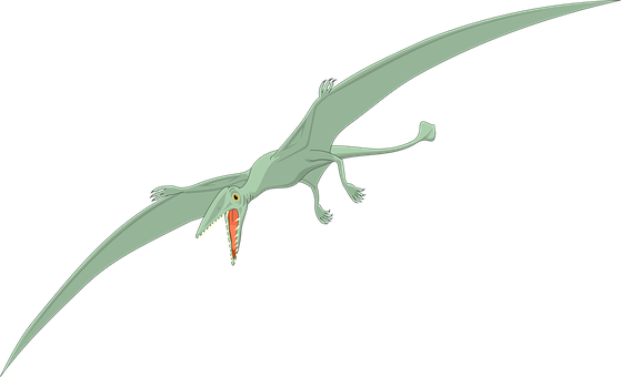 Pterosaur In Flight Illustration PNG with transparent background