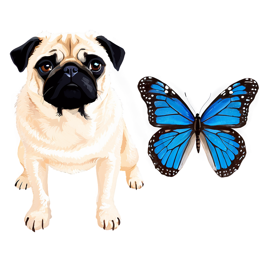 Pug And Butterfly Png 62