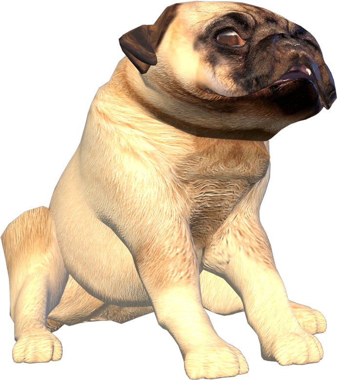 Transparent Pug Head Png - Pug, Png Download PNG with transparent background