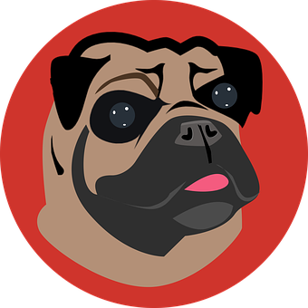 Pug Portrait Vector Illustration PNG with transparent background