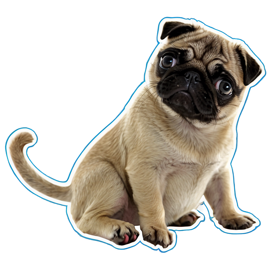 Pug With Kitten Png 05232024