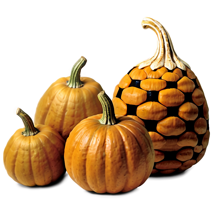 Pumpkin And Gourds Png Jpw27