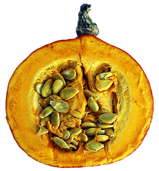 Pumpkin Halvedwith Seeds.jpg