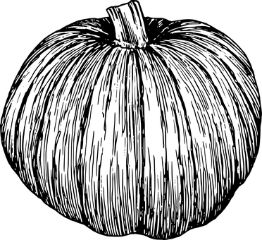 Pumpkinin Darkness PNG with transparent background