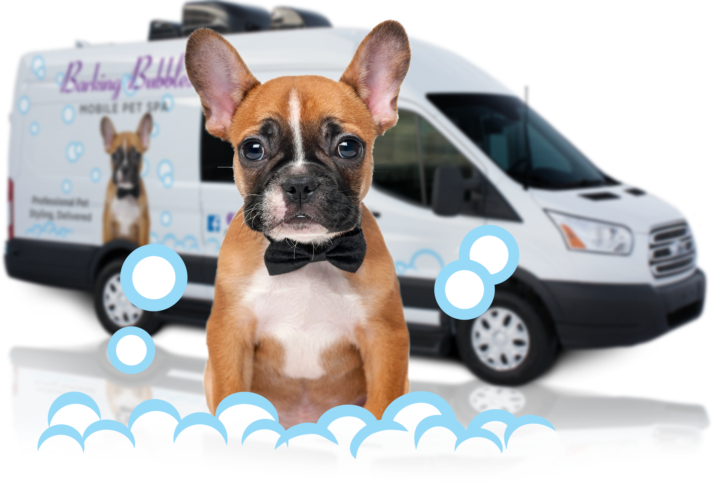 Mobile Pet Grooming Bath Bubbles - Mobile Pet Grooming Columbus Ohio, HD Png Download PNG with transparent background