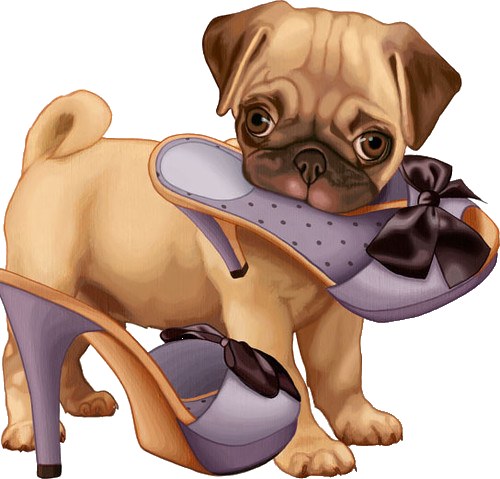 Puppy With Shoe Illustration PNG with transparent background