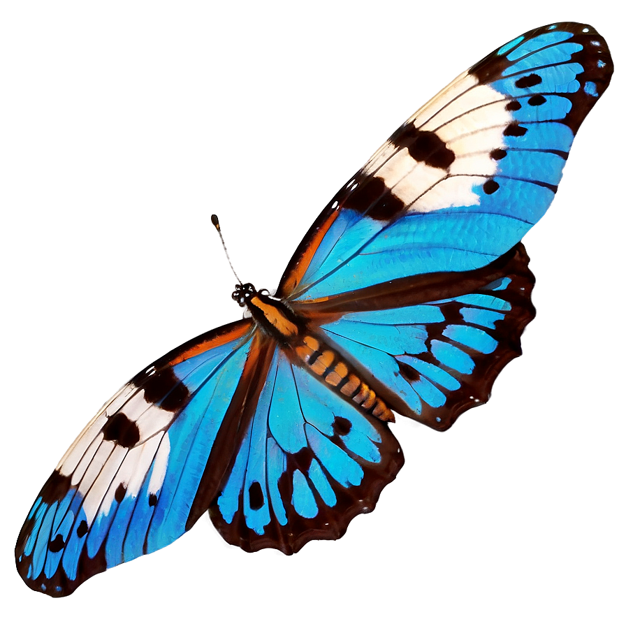 Pure Butterfly Image Png 06262024