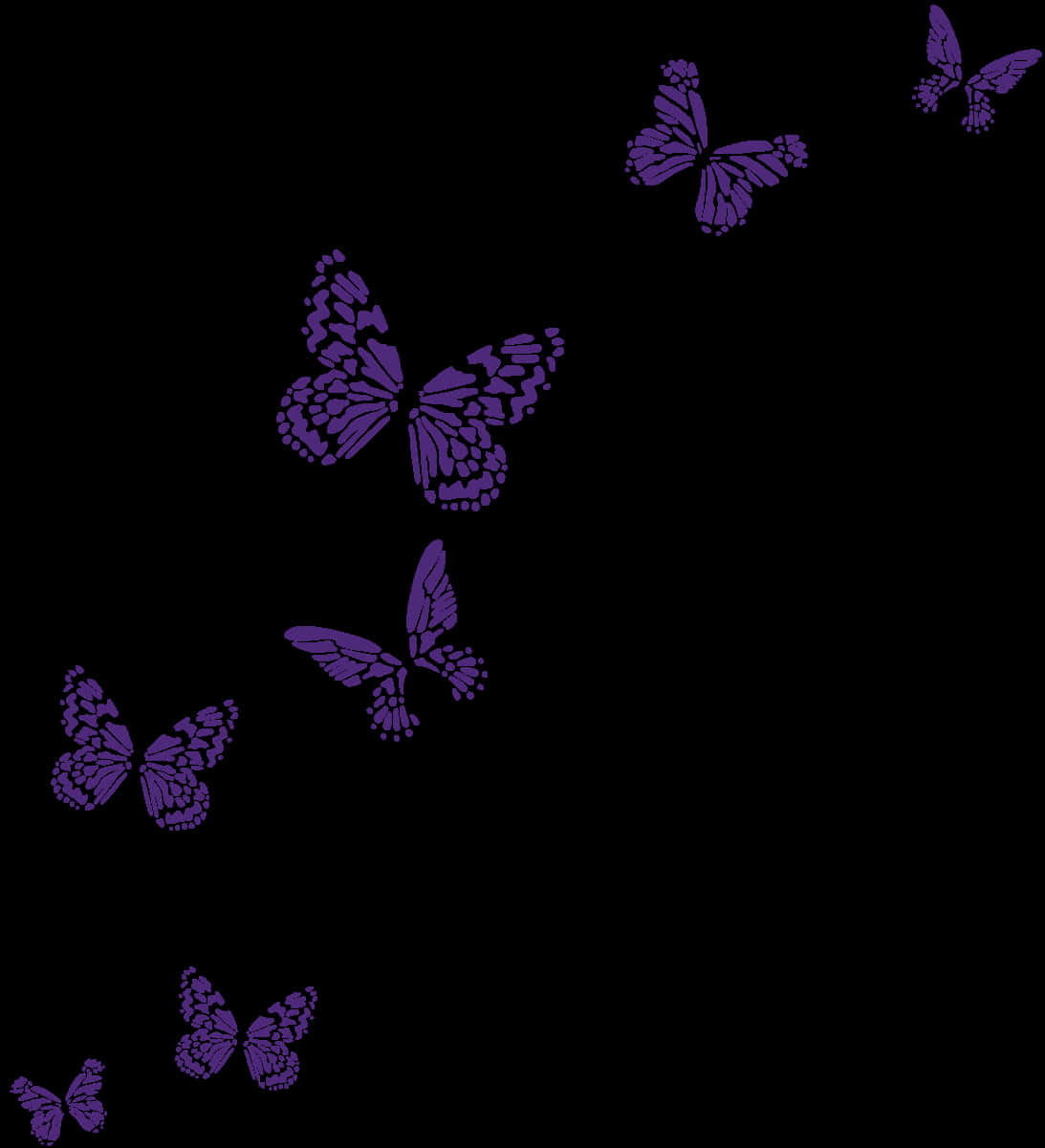 Purple Butterflies Black Background