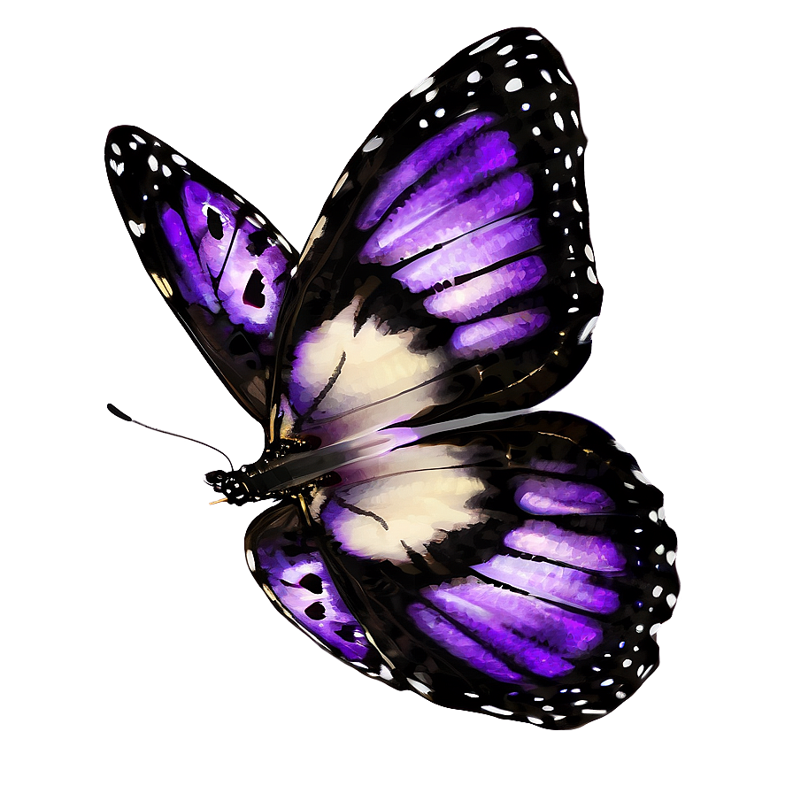 Purple Butterfly PNG sfa PNG with transparent background