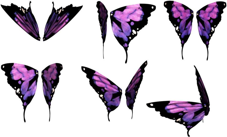 Purple Butterfly Wings Collection