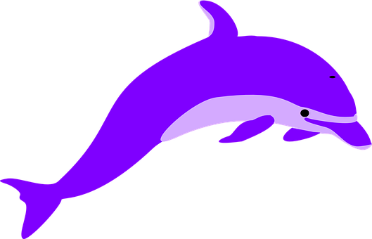 Purple Dolphin Graphic PNG with transparent background