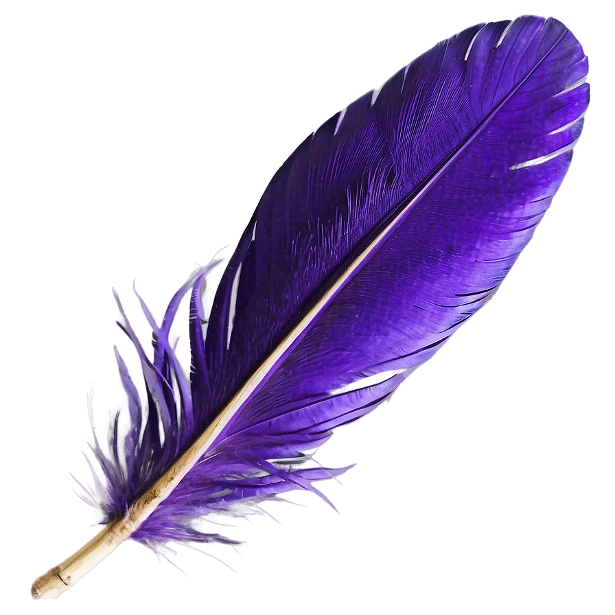 Purple Feather PNG 2 PNG with transparent background