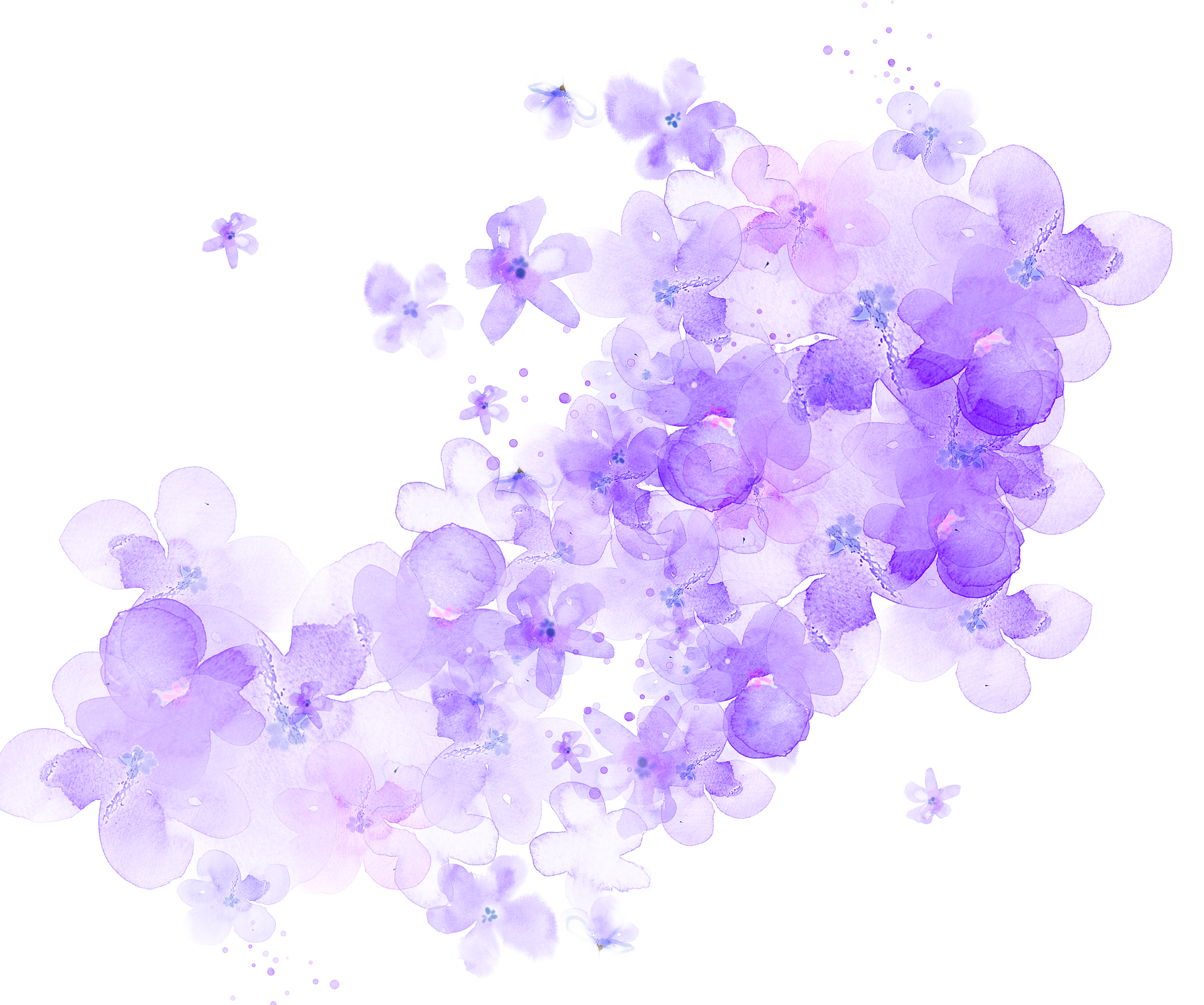Ftestickers Watercolor Flowers Purple Transparent - Purple Watercolor Flower Transparent, HD Png Download PNG with transparent background