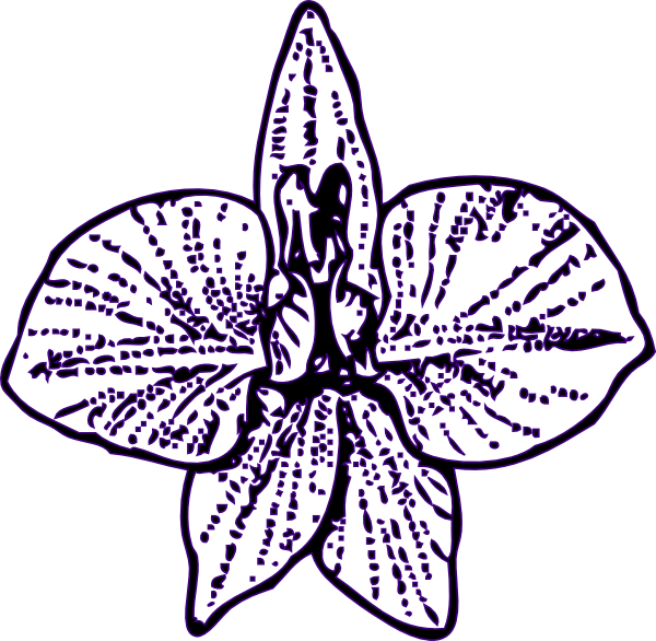 Flower Outline Svg Clip Arts - Larkspur Flower Tattoo, HD Png Download PNG with transparent background