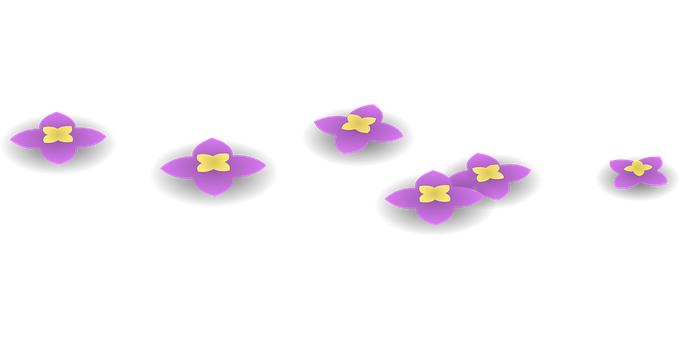 Purple Flowers Black Background PNG with transparent background