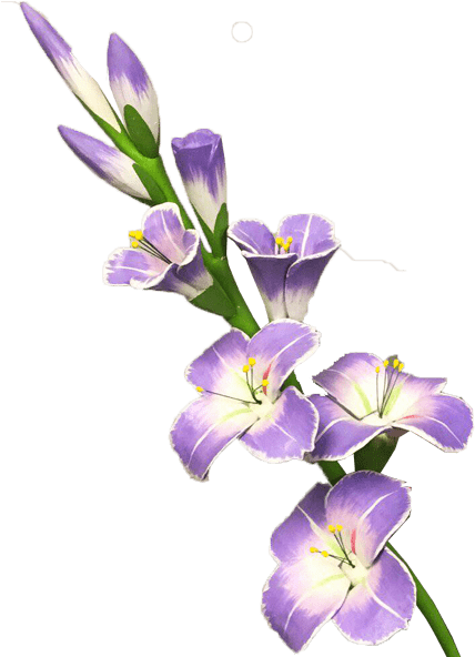 Gladiolo De Decoración - Gladiolus Clipart Transparent Background, HD Png Download PNG with transparent background