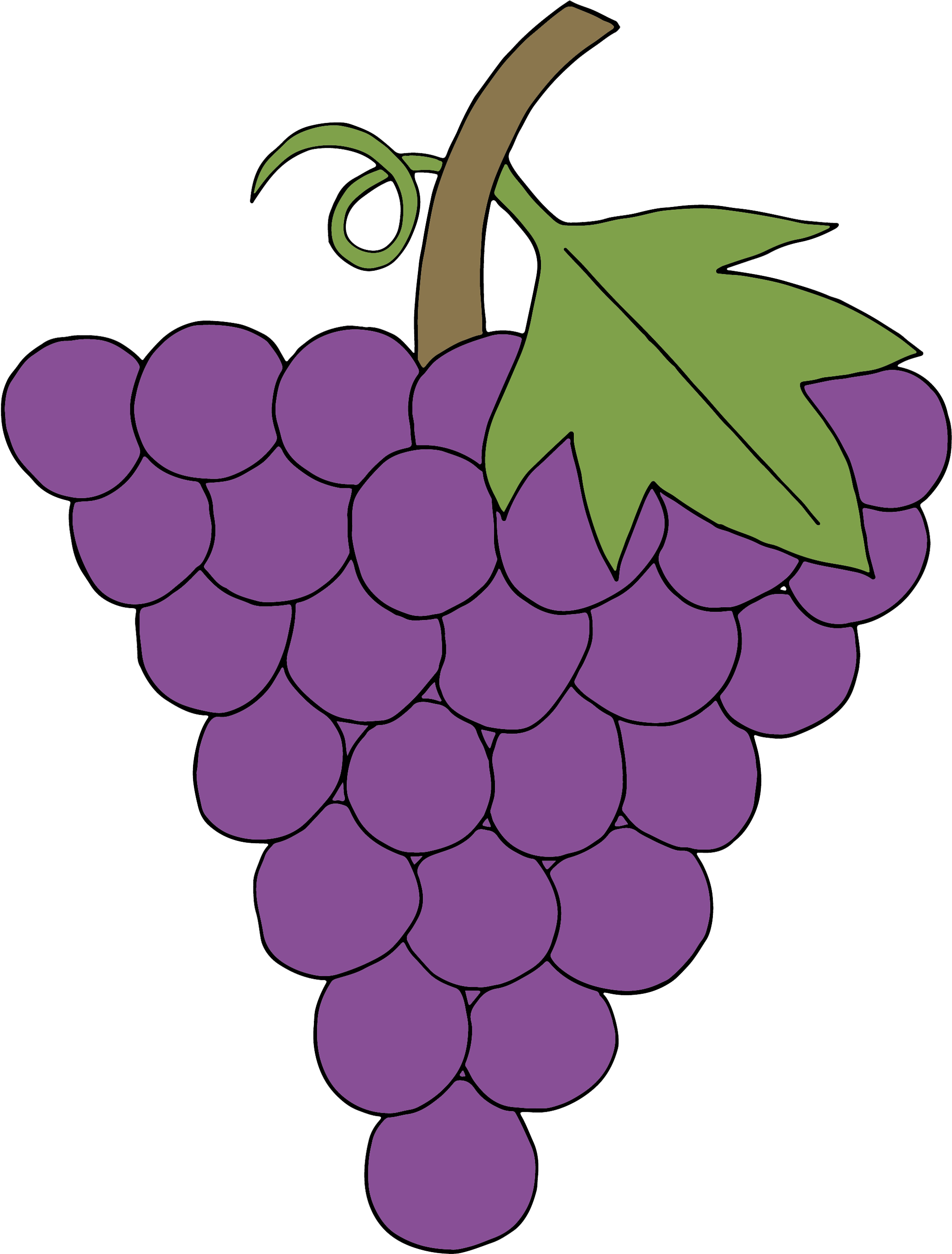 Purple Grape Cluster Illustration