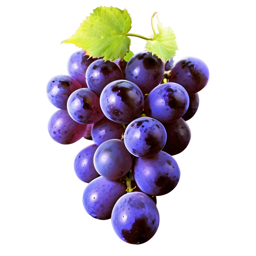 Purple Grape Png Kcl