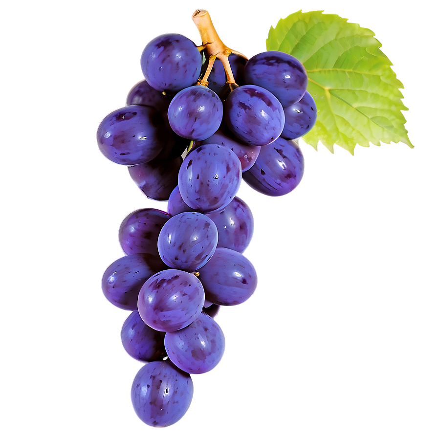 Purple Grape Png Mkb56