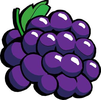 Purple Grapes Cartoon Illustration