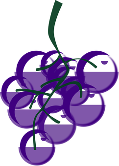 Purple Grapes Vector Illustration PNG with transparent background
