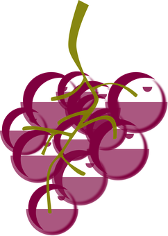 Purple Grapes Vector Illustration PNG with transparent background