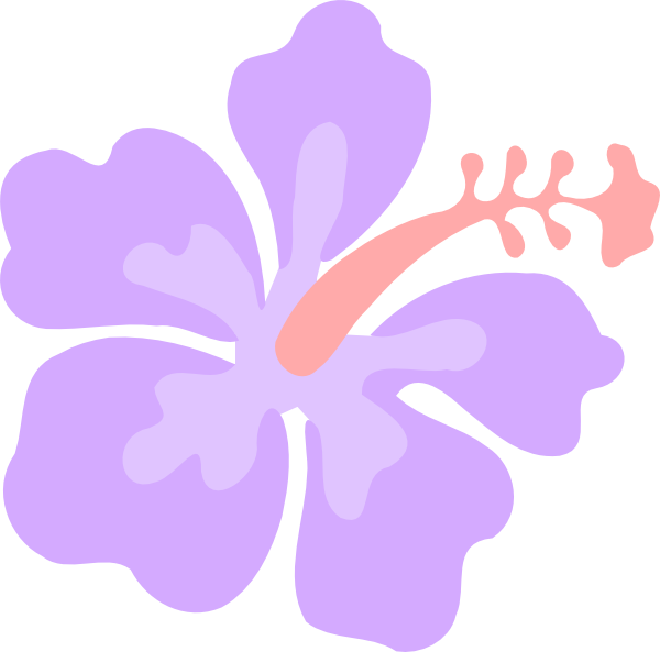 Purple Hibiscus Vector Illustration PNG with transparent background