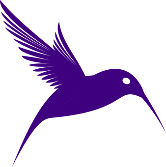Purple Hummingbird Silhouette PNG with transparent background
